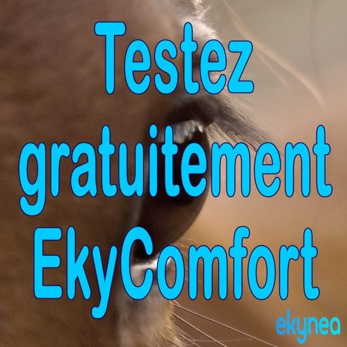 Testez gratuitement ekycomfort Pour tester gratuitement le capteur connecté EkyComfort
