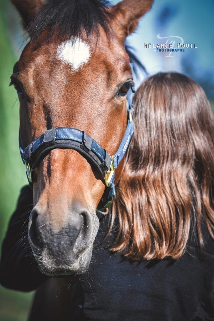 cheval-excel-cavaliere-alix Bien-être et complicité entre le cheval Excel et sa cavalière Alix