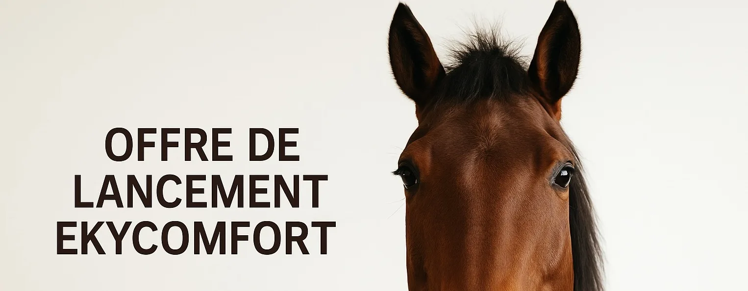 image-offre-lancement-ekycomfort Offre de lancement capteur EkyComfort