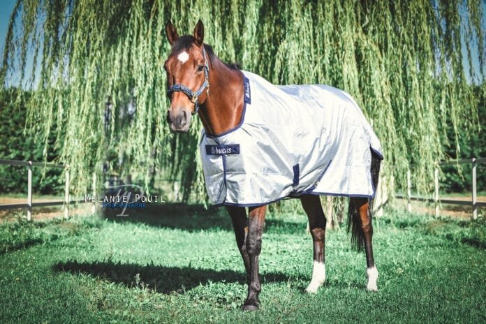 Ecel couverture cheval ekynea