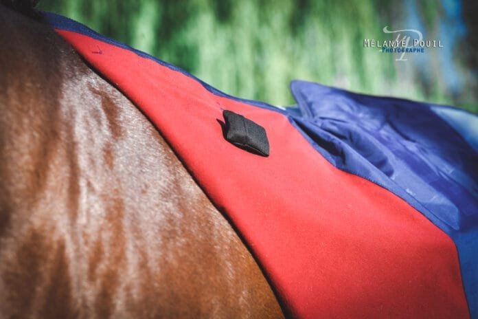 ekycomfort capteur excel