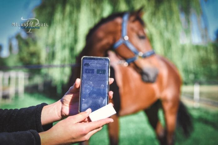 capteur et application Ekycomfort avec cheval Excel